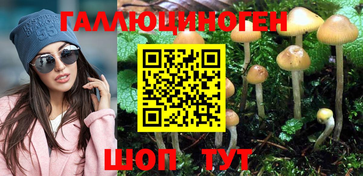 Галлюциногенные грибы Psilocybine cubensis  Вход с VPN  Новозыбков 