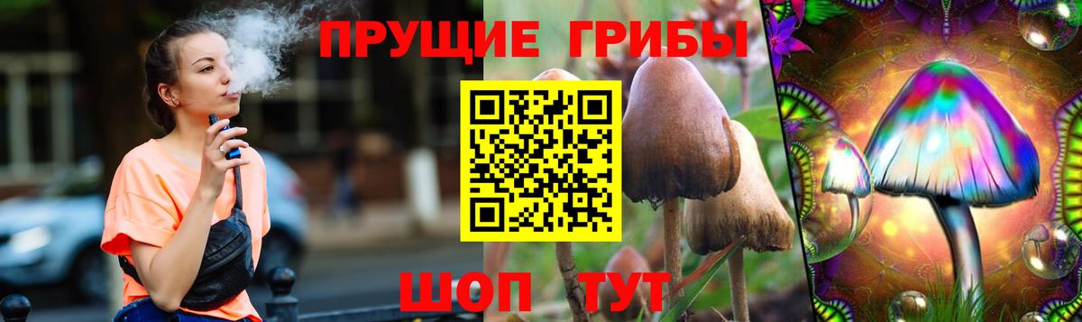 Галлюциногенные грибы прущие грибы Новозыбков