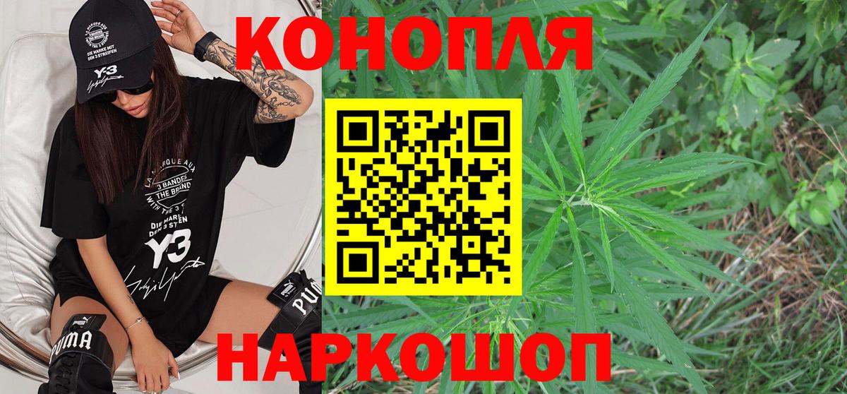 МАРИХУАНА семена Новозыбков